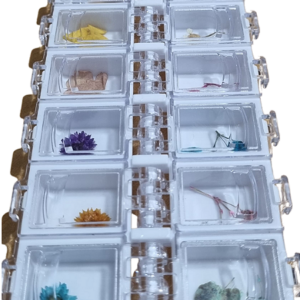 Estojo de Flores Secas Cores Variadas 12 Cápsulas Premium