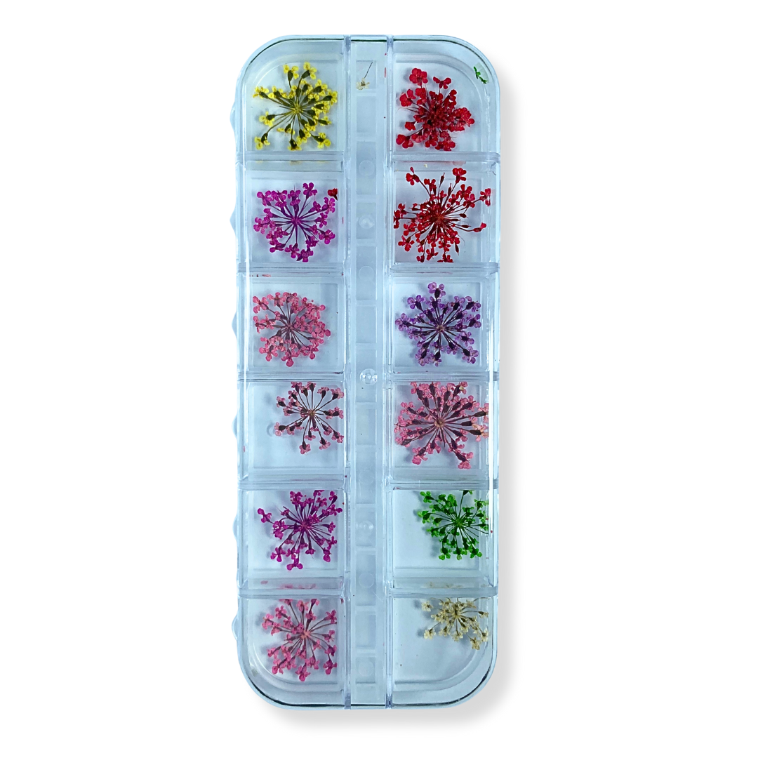 Estojo de Flor Secas Cores Variadas com 12 Cápsulas