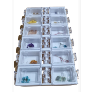 Estojo de Flores Secas Cores Variadas 12 Cápsulas Premium